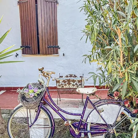 Ubytování v soukromí Helianthus